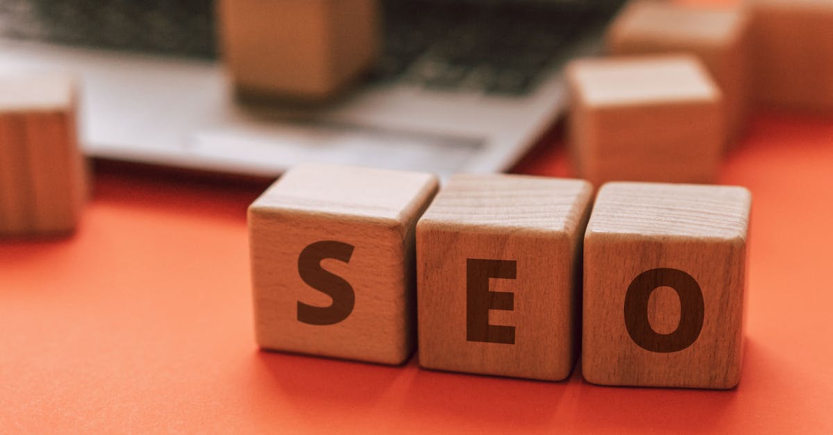What are the SEO services?